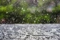 PAYIZ GƏLİŞİNİ GÖSTƏRMƏYƏ BAŞLAYIB