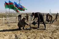 DİN əməkdaşları Zəfər Günü ilə əlaqədar ağacəkmə aksiyası keçirib - VİDEO